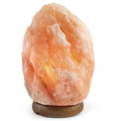 Himalayan Pink Salt Lamps + 12V 12W Switch - Natural Rock Shape