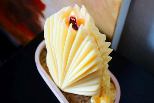 Wooden Wick Coral Shell Candle - Yellow- Lemon Cookie