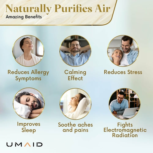 UMAID Authentic Natural Himalayan Salt Lamp, Hand-Carved Modern