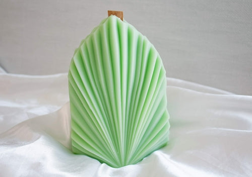 Wooden Wick Coral Shell Candle - Yellow- Lemon Cookie